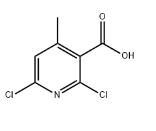 2,6-二氯-4-甲基烟酸 